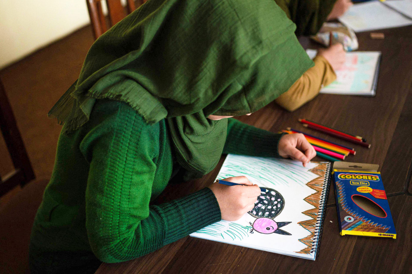 Tyttö piirtää ja värittää eläinkuvaa.