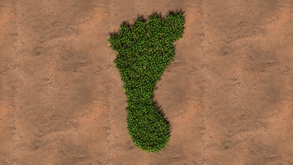 Vihreistä kasveista muodostettu jalanjälki ruskeassa maassa.