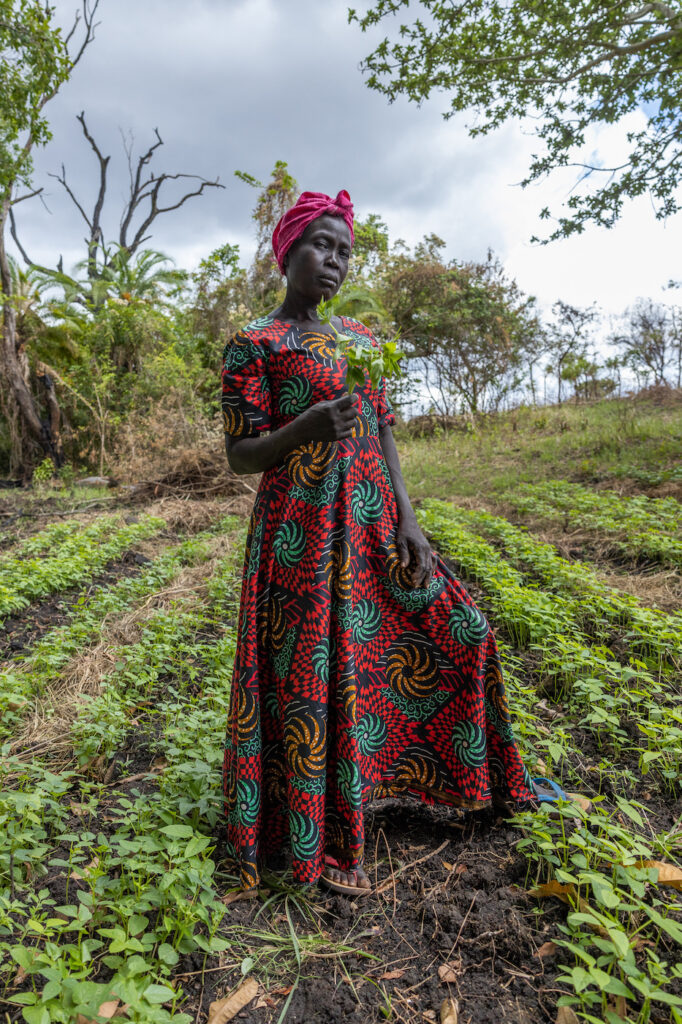 Nainen seisoo pellolla kädessään kasveja.